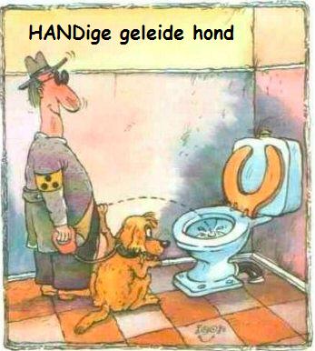 Blinde geleidenhond, altijd handig!