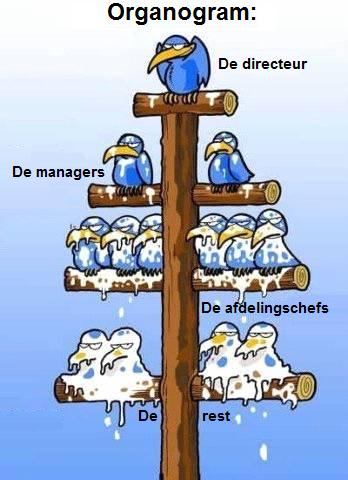 het klassieke organogram