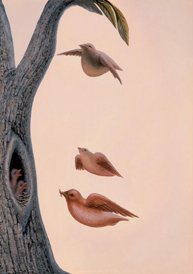 Birdface